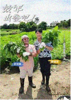 实验短片题材柜格图鉴